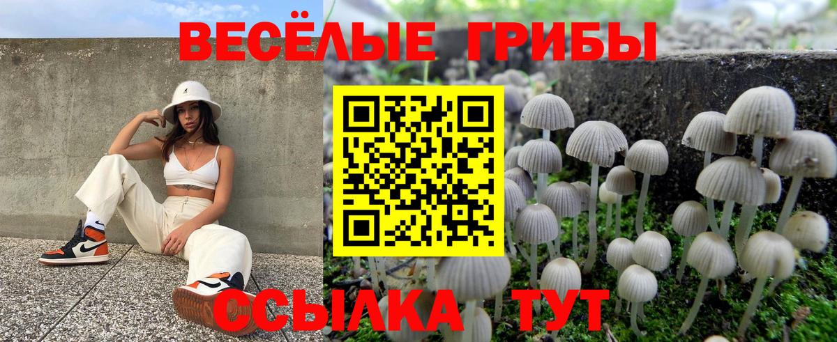 где можно купить наркотик  Галлюциногенные грибы Psilocybine cubensis  Галлюциногенные грибы Cubensis  Вход с VPN  Саратов 