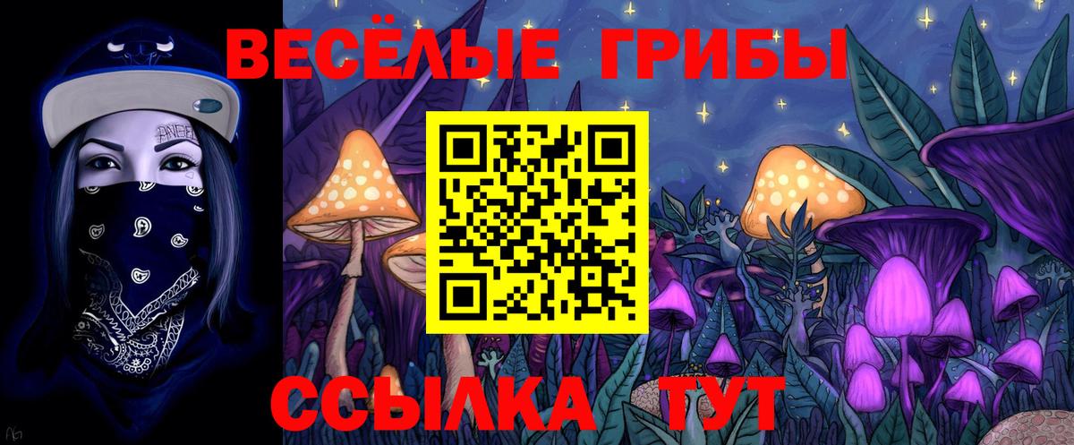 Псилоцибиновые грибы MAGIC MUSHROOMS Саратов
